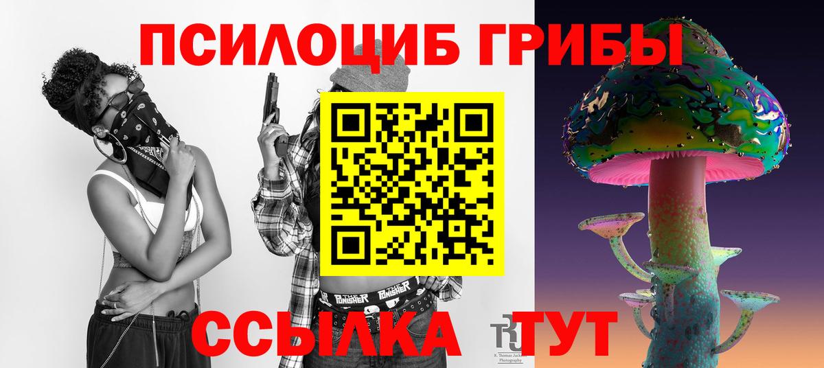 Псилоцибиновые грибы Psilocybine cubensis  Вход с VPN  Пушкино 